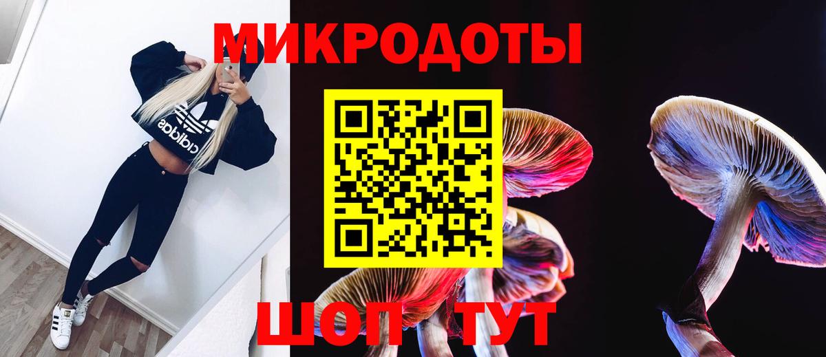 Псилоцибиновые грибы мухоморы Людиново